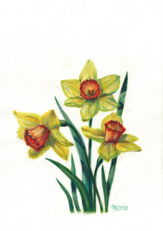 Daffodils #2/Flower Series