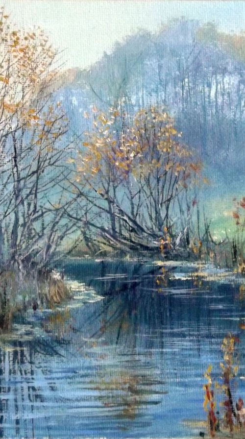 Mist on the river by Dalia Barke