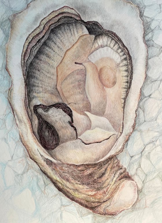 Colored pencils drawing of big oyster on ice