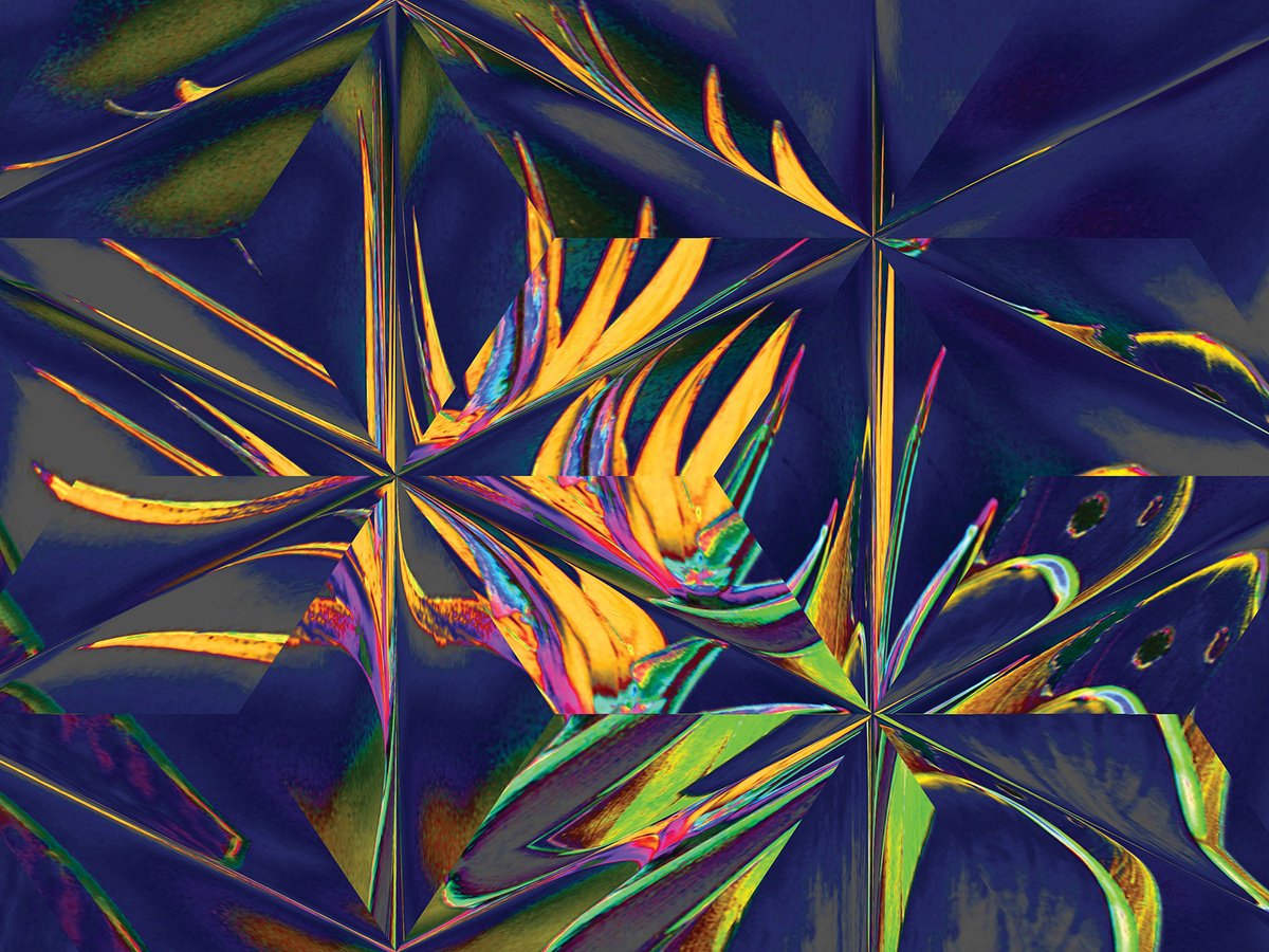 Abstract Botanical Print By Javier Diaz, 60 X 79, Caleidoscopios Iii, Original Artwork