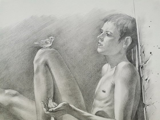 Sparrows