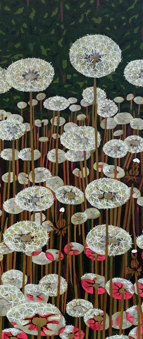 White Dandelion Field by Tarja Laine