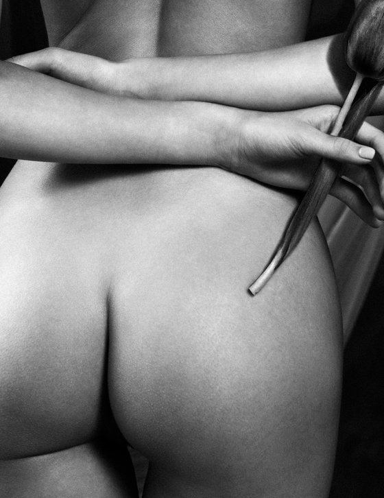 Black tulp. Nude.