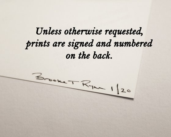 Uncle Tim's Bridge, Wellfleet - Medium