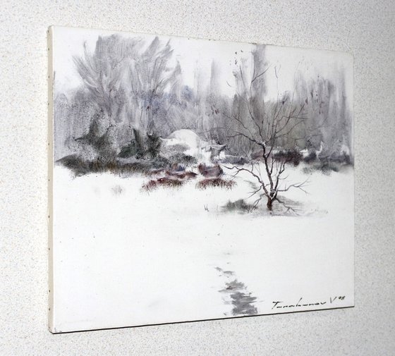 Winter contrast