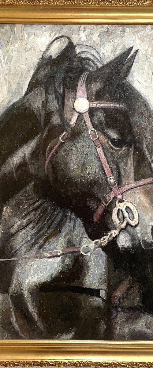 Horse portrait by Andres Portillo