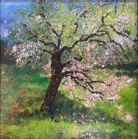 In the Spring Orchard