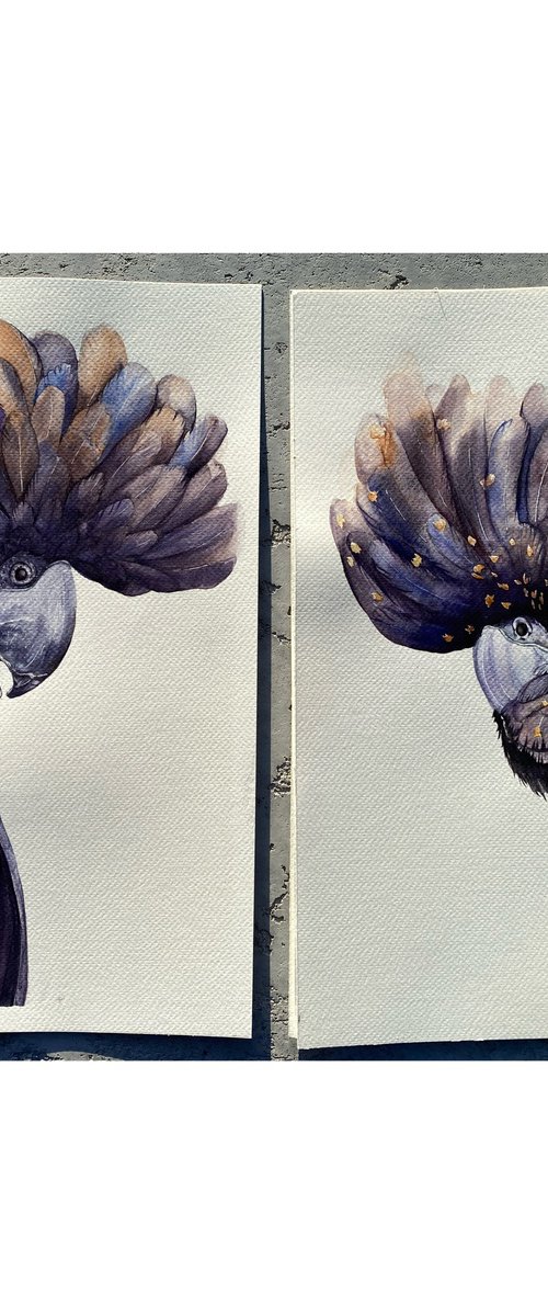 The Dark Crest Duo by Tetiana Savchenko