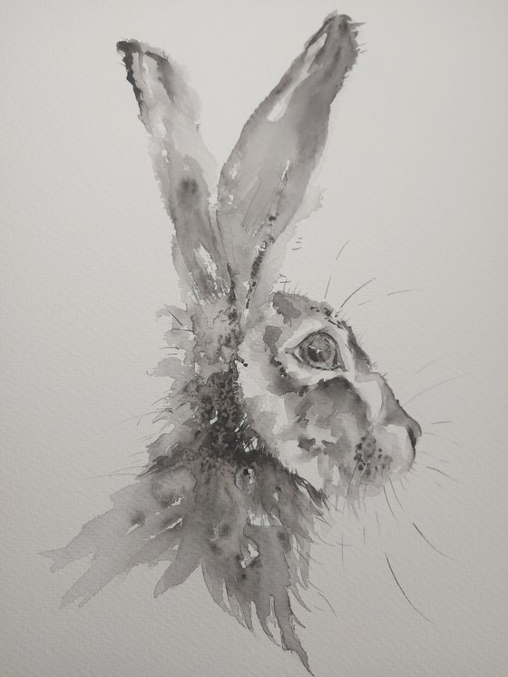 Monochrome hare