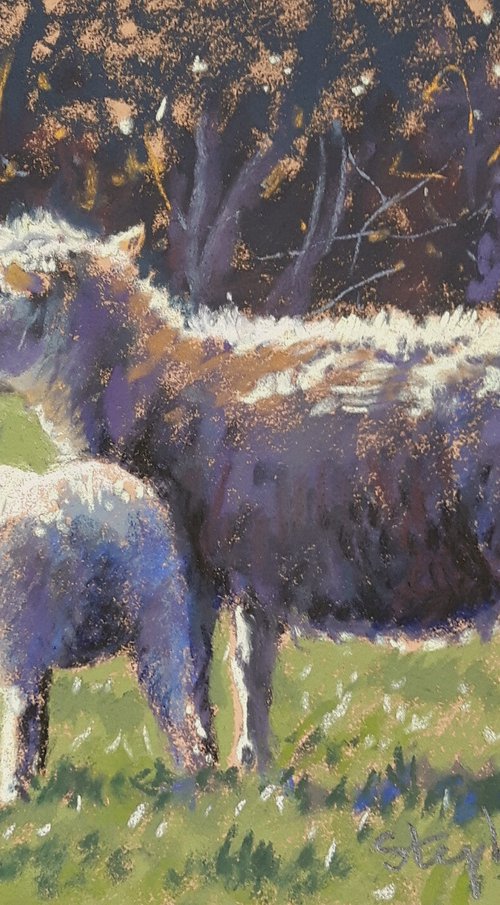 Ewe and Lamb by Stephen Hawkins