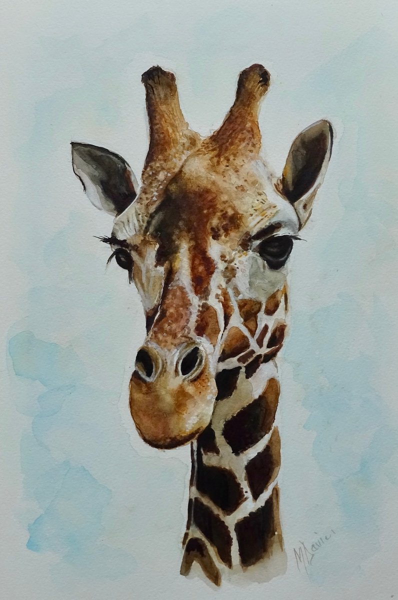 Photorealistic Animal Watercolour By Mel Davies Original Art, 10 X 16", Giraffe, Original Artwork