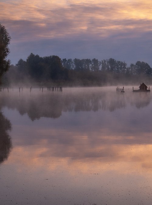 Swan's house by Vlad Durniev