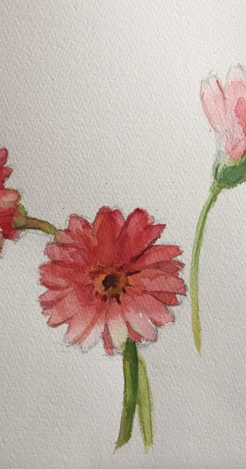 Dahlia by Jing Chen