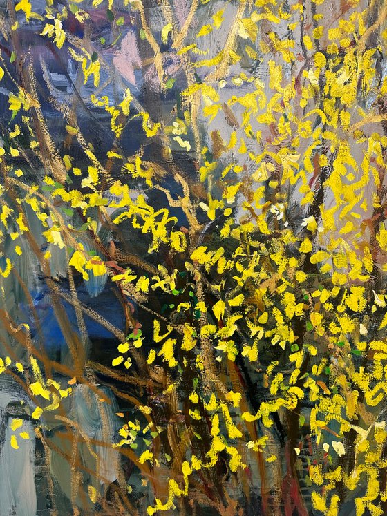 Forsythia Golden Bell