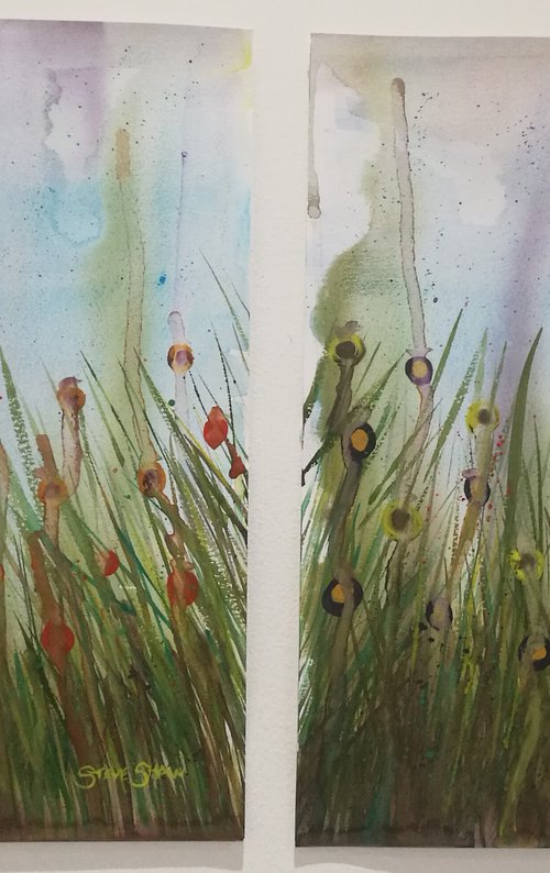 Watercolour Flower Splash Diptych on paper by Steven Shaw