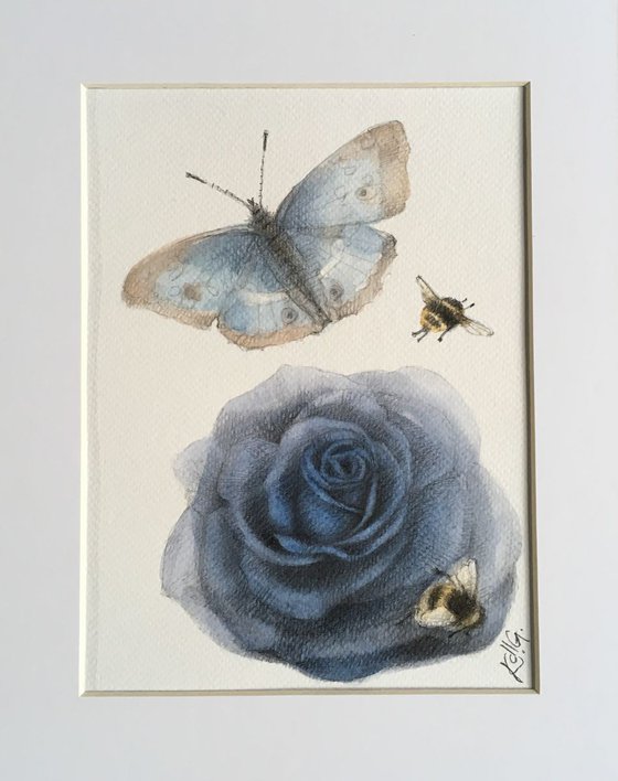 Rose and butterflies 3