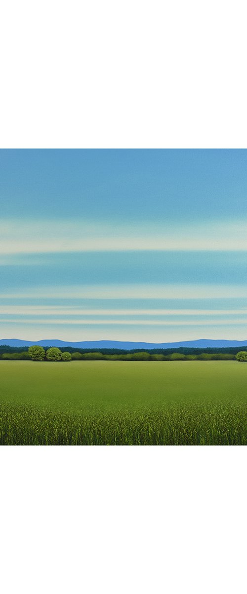 Summer Green - Blue Sky by Suzanne Vaughan