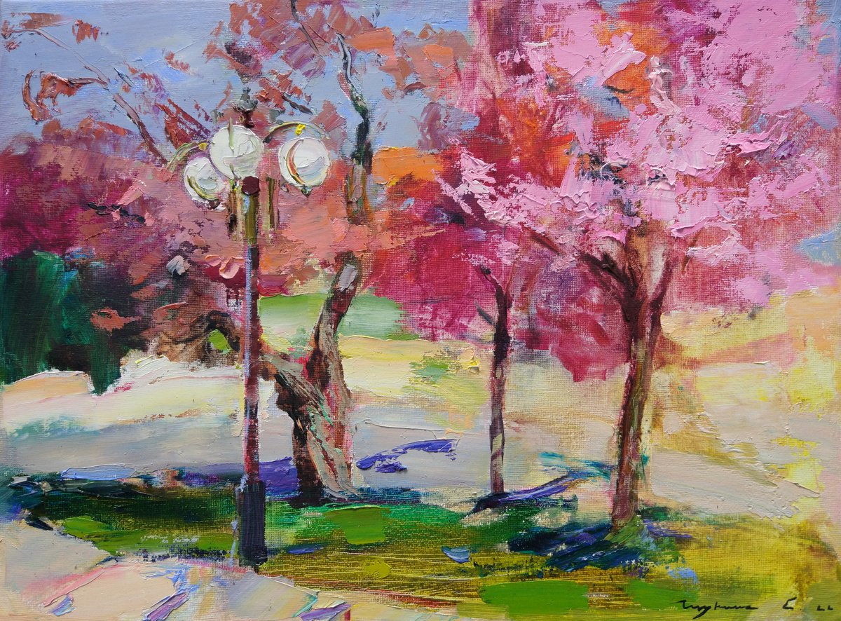 Walk under the cherry blossoms of Uzhgorod. Ukrainian landscape. Original plein air oil pa... by Helen Shukina