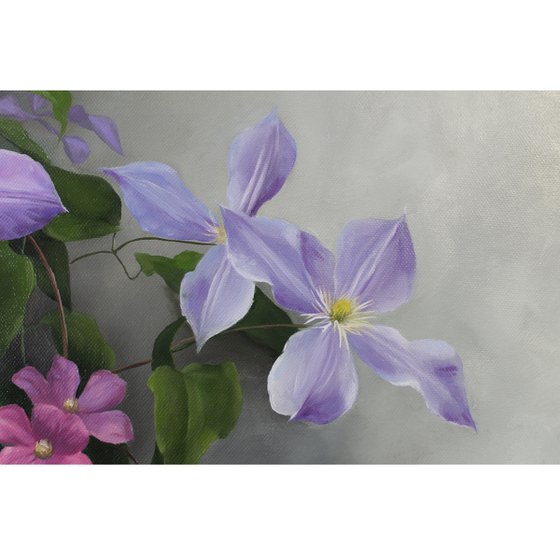 Clematis