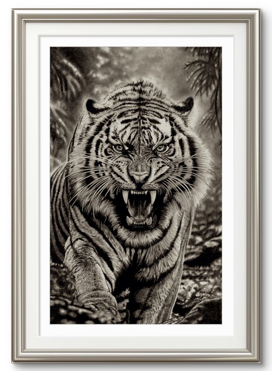 Jungle Tiger