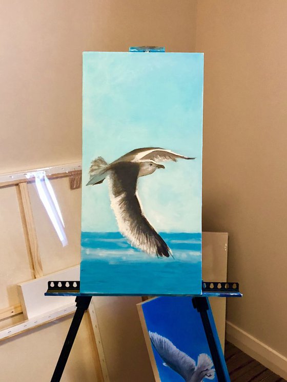 Bobby the seagull