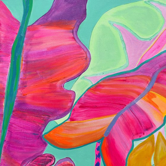 'Rainbow Alocasia'