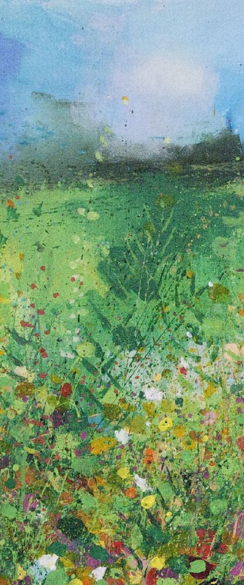 Field Sketch by Sandy Dooley