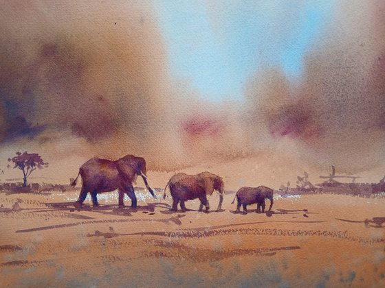 elephant 28