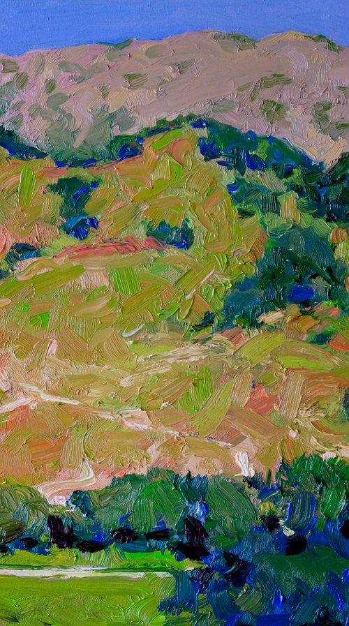 Green Hills. Mountains in California by Suren Nersisyan