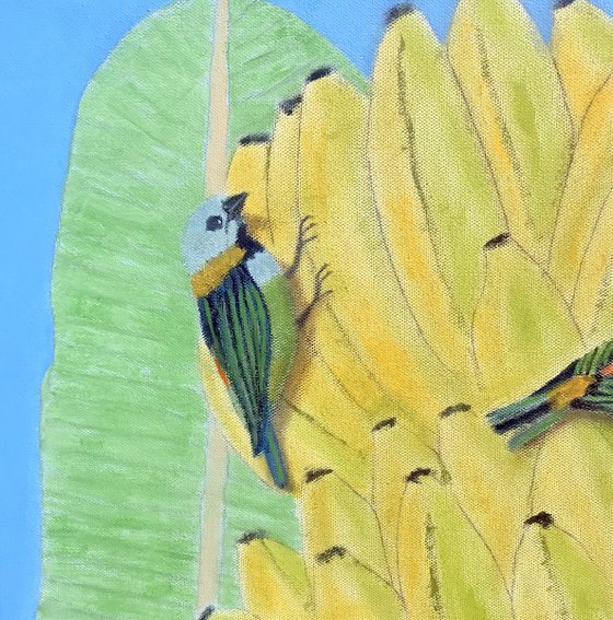 BIRDS OF A FEATHER BRAZIL