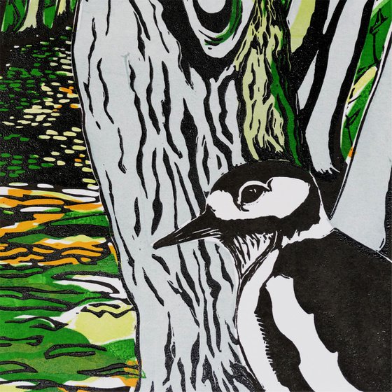 Woodpecker in the Woods