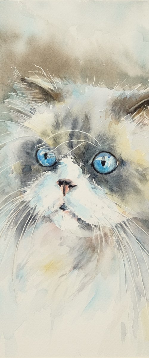 Kitty by Ilona Borodulina