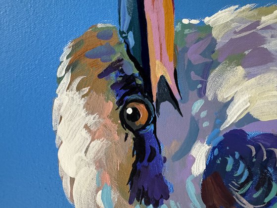 Three Kookaburras III