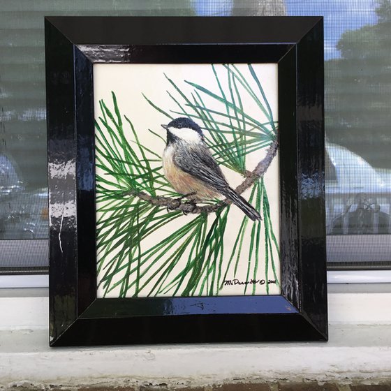 WHITE PINE CHICKADEE 10X8 Acrylic (SOLD)