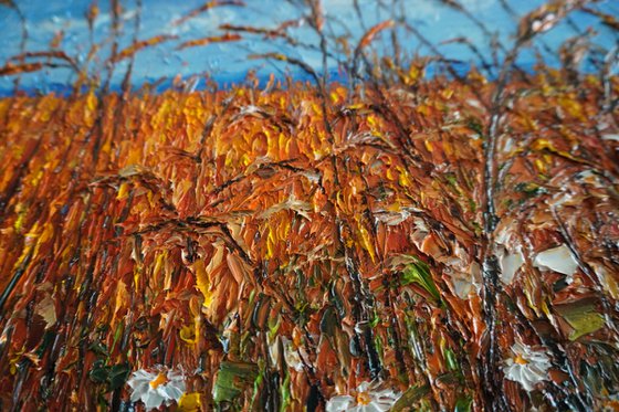 Wheat field