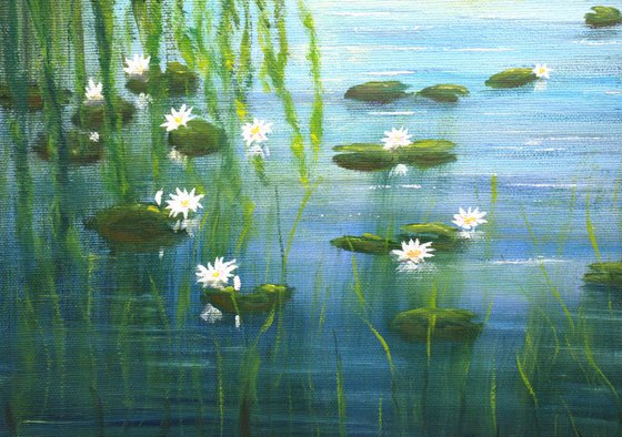 Serene lily pond