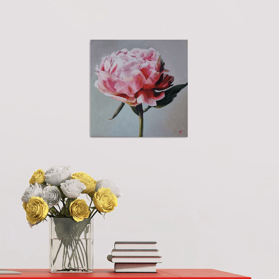 "Peony mood. "   (2024)