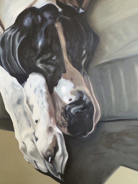 Sleeping Dane