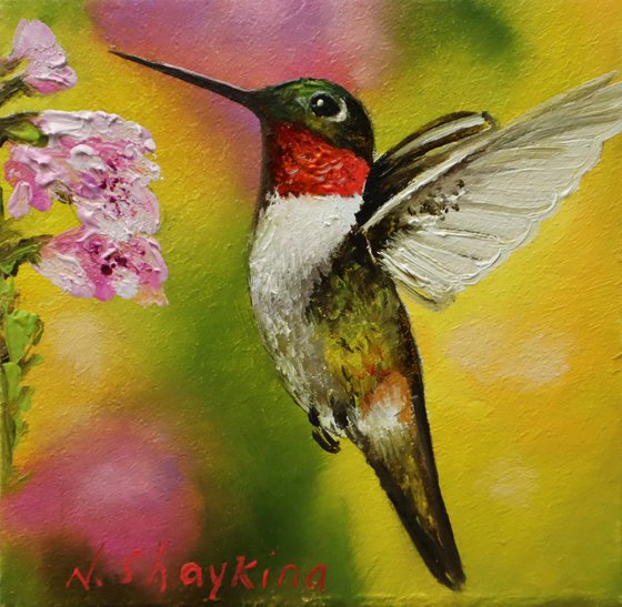 Hummingbird