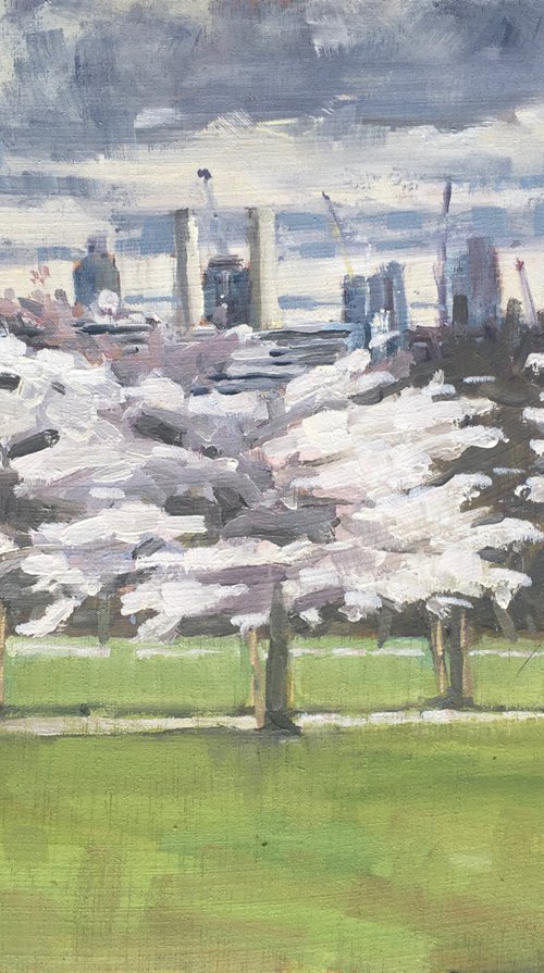 Cherry Blossom Avenue, Battersea Park by Louise Gillard