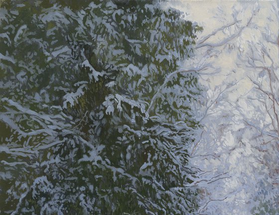 Winter forest