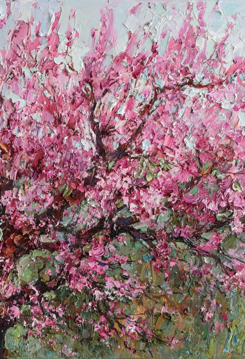 Blooming Peach Tree by Anastasiia Valiulina
