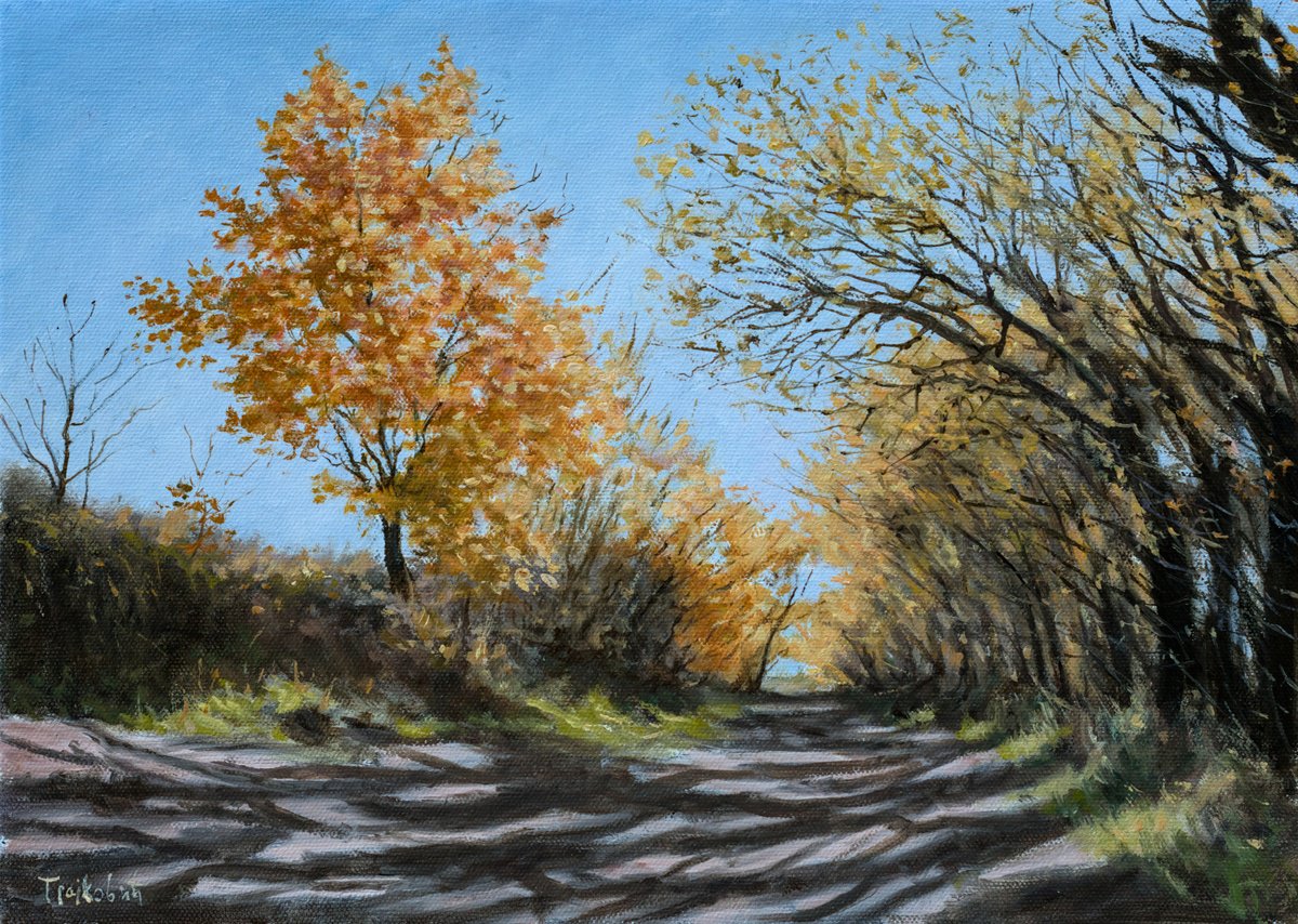 Impressionistic Landscape Oil Painting By Dejan Trajkovic, 14 X 10, Autumn Is Here, Original Artwork