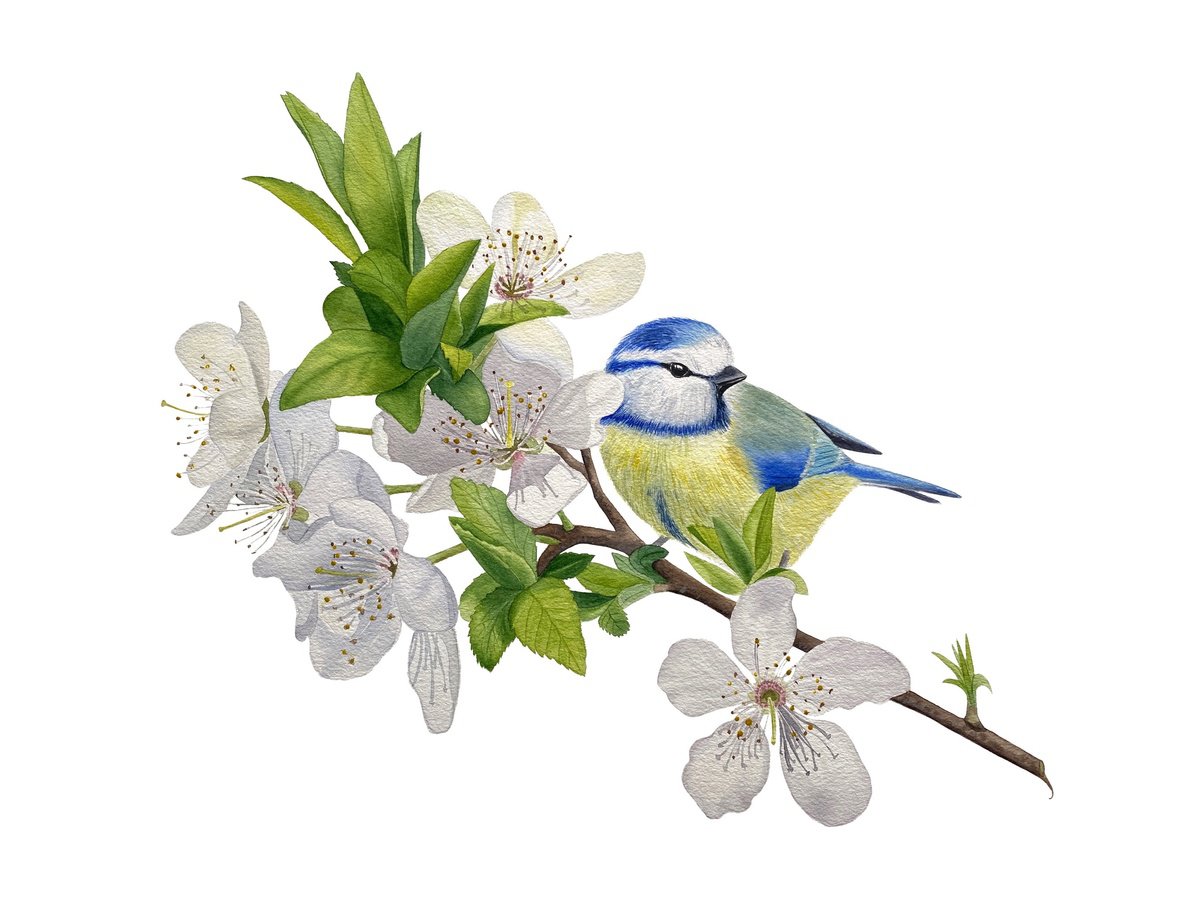 Photorealistic Animal Watercolour By Tina Shyfruk, 19 X 15", Bird On The Branch, Original Artwork