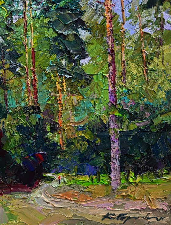 Along the Forest Path