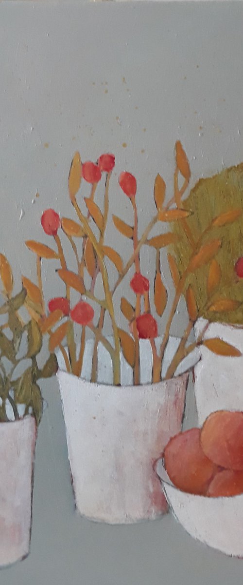 Houseplants... by Fiona Philipps