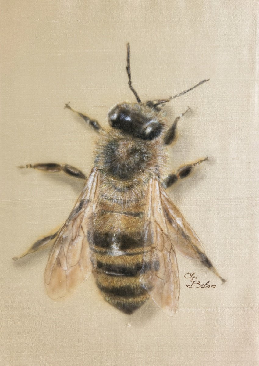 Photorealistic Animal Acrylic Painting By Olga Belova, 8 X 12", Silky Bee, Original Artwork