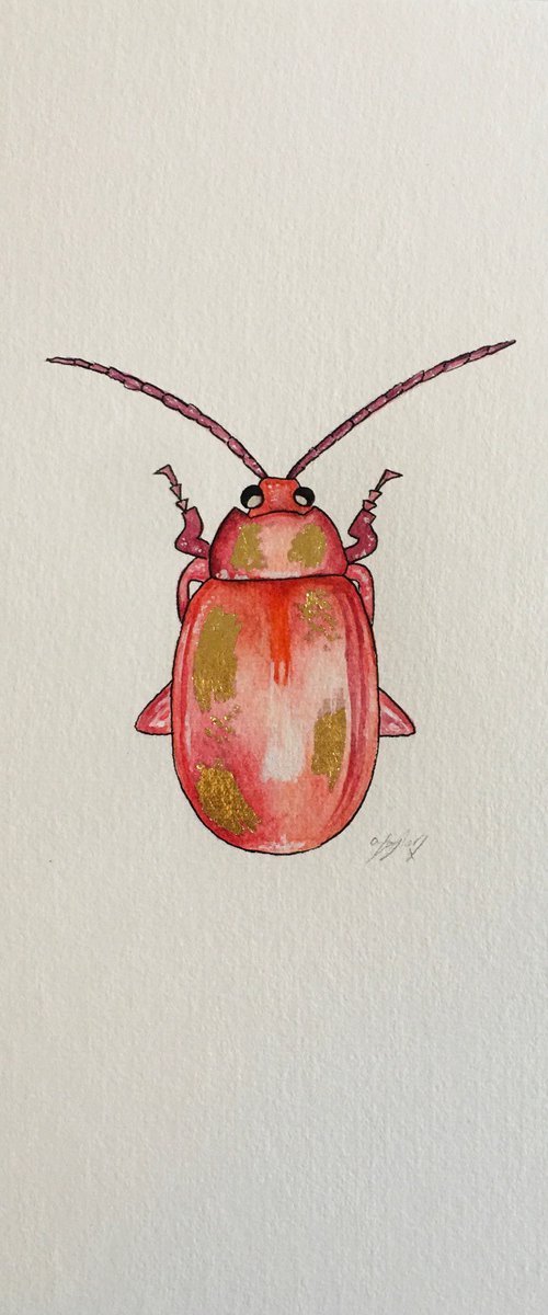 Pink beetle by Amelia Taylor