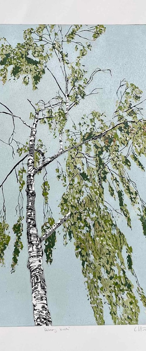 Dalmeny Birch linocut by C Staunton