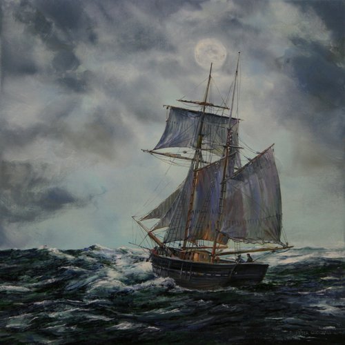ALL AT SEA IN THE MOONLIGHT by Peter Goodhall